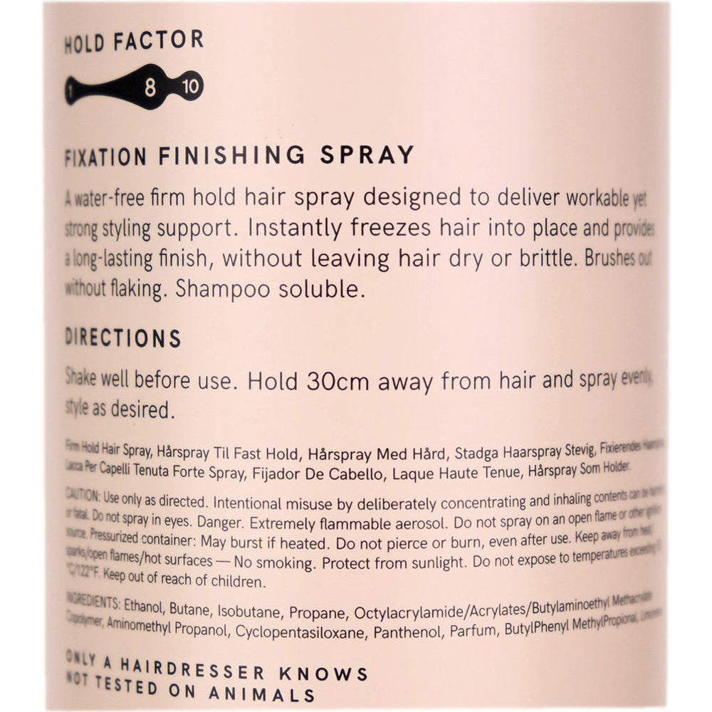 Nak Hair Fixation Finishing Spray Firm Hold 400g